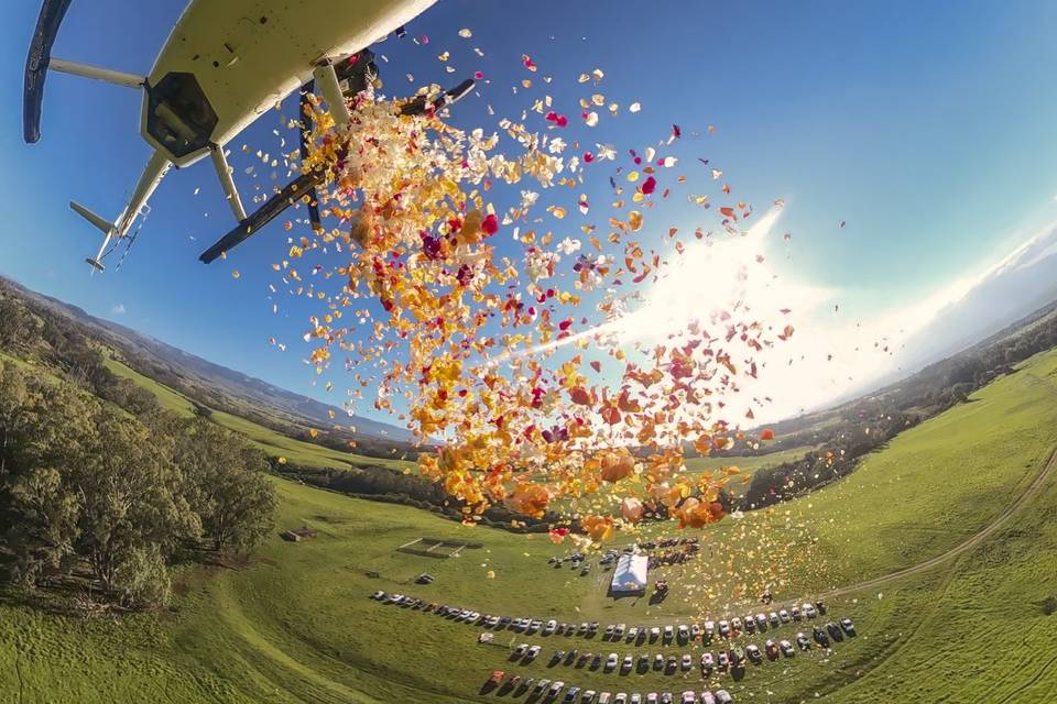 Flower Shower