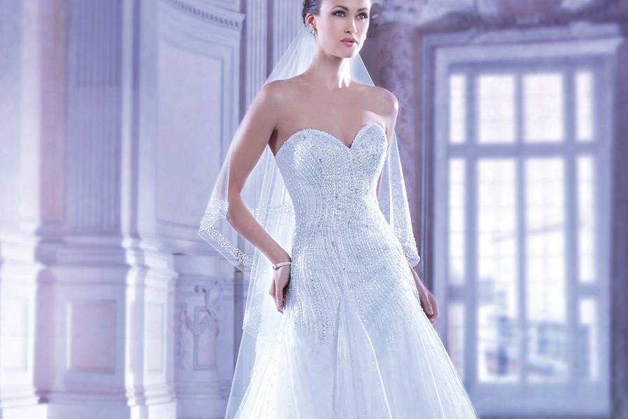 547Beaded Tulle, Strapless A-line wedding gown with a Sweetheart neckline and lace-up back. This bridal dress features an attached Chapel Train.