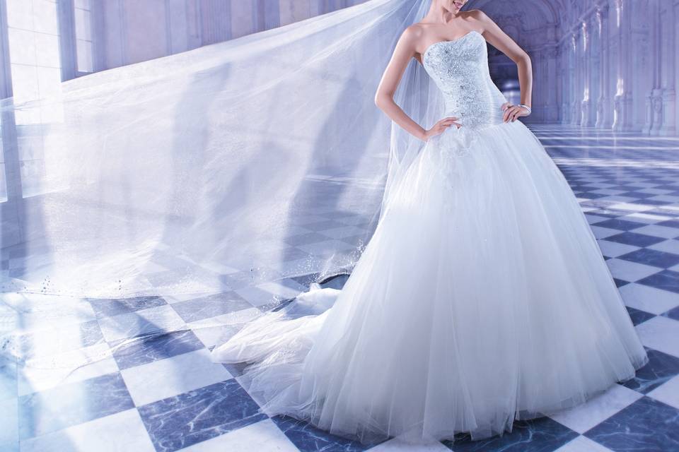 557Strapless, beaded tulle wedding dress with a soft sweetheart neckline, dropped waist and asymmetrical ruching with jeweled embroidery on bodice. This bridal gown also features a lace-up back and attached Chapel train.