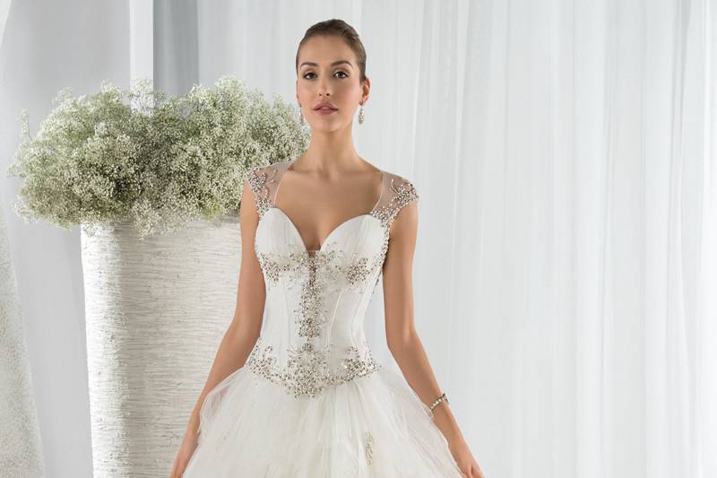 Style 650 <br> This unique tulle Ball Gown features a beaded lace bodice with a plunging V- neckline and Basque waist.  The form fitting bodice transitions to an open sheer back with button closures and a Chapel length train.