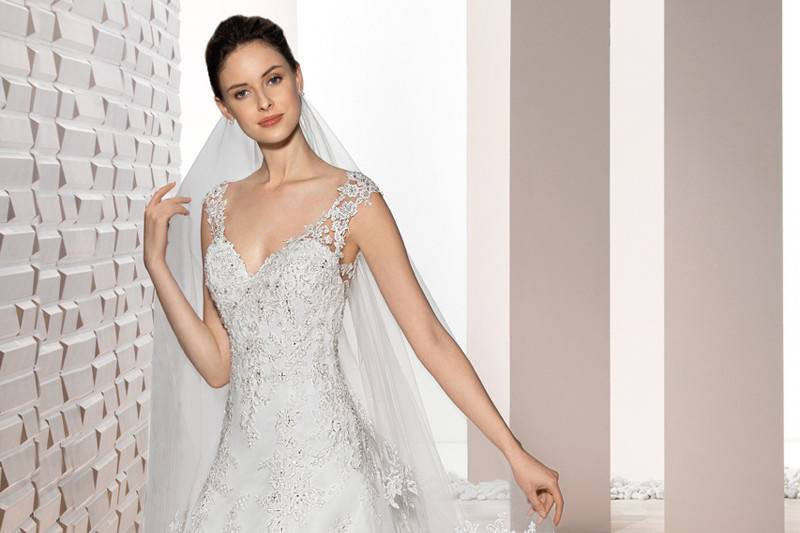 Style 732 <br>	Delicately beaded appliques embellish this romantic Tulle Ball gown with Sweetheart neckline and elegant sheer sleeves with lace accents that flow into a dramatic, low sheer back with button closure.  The back features a stunning lace embellished Cathedral train.