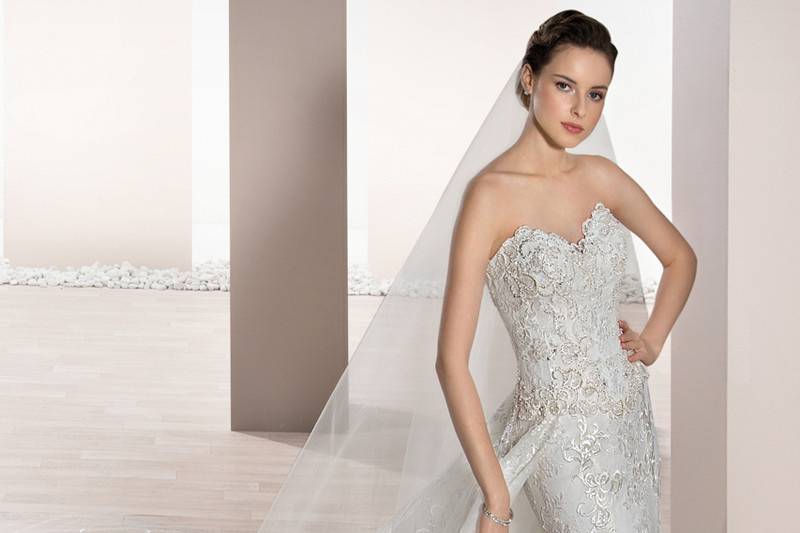 Style 728 <br> 	A Magnificent, optional detachable train adds a traditional touch to this strapless, sheath gown with Sweetheart neckline.  Delicately beaded lace embroidery adorns the entire gown including the Cathedral length train.