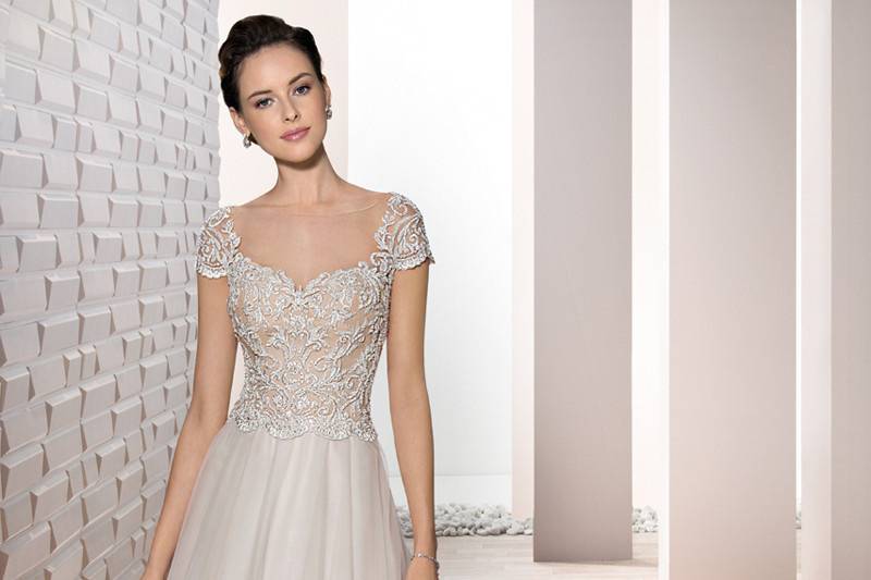 Style 673 <br>	Classic elegance describes this Tulle Ball gown with beaded lace embroidery on the bodice, and cap sleeves.  The back features buttons over sheer illusion and is finished with a Chapel train.