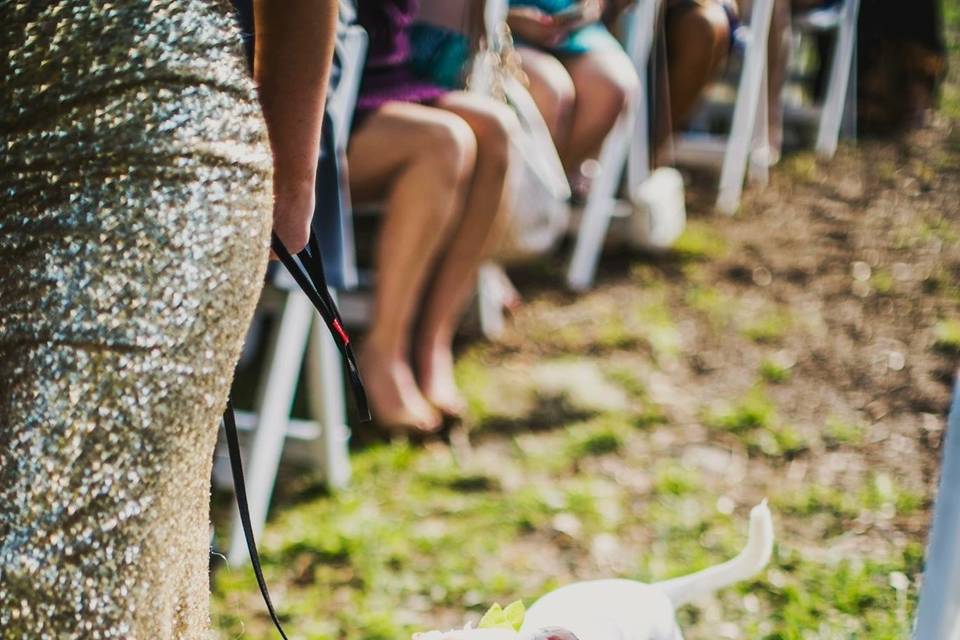 Pet-friendly wedding