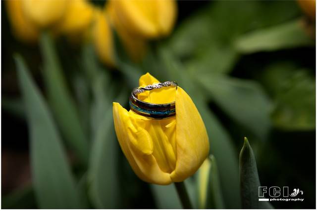 FCI Photography