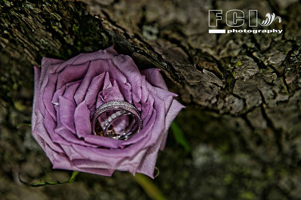 FCI Photography