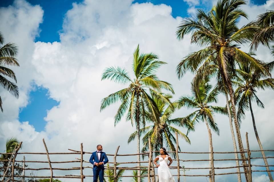 Trash the dress