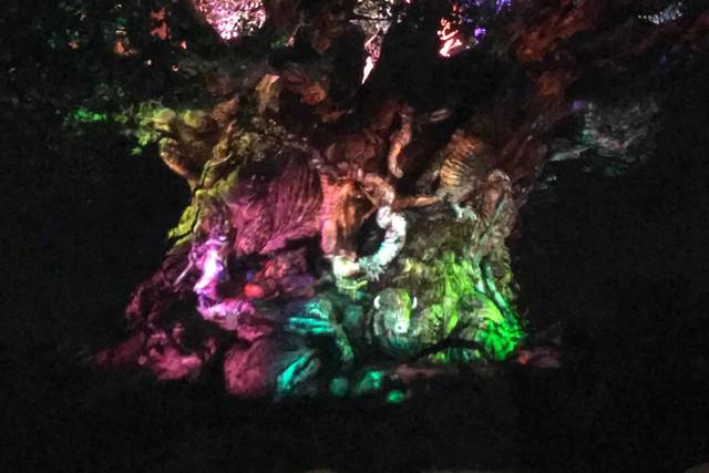 Tree of Life