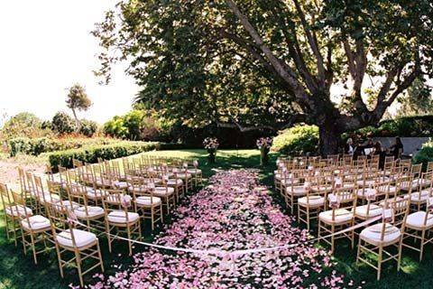 Floral aisle