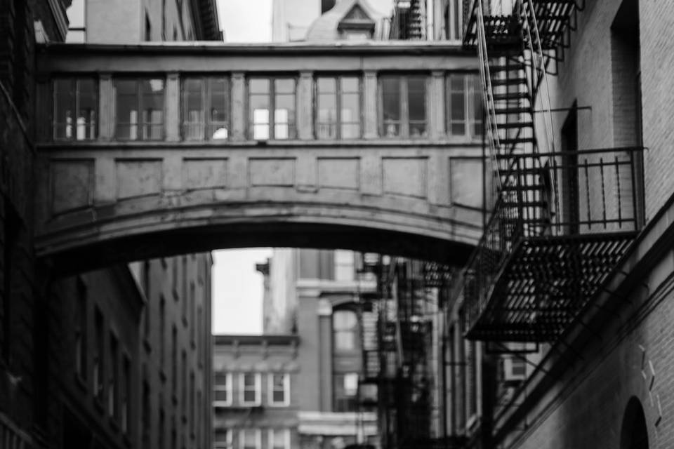 Tribeca Rooftop Wedding, NYC