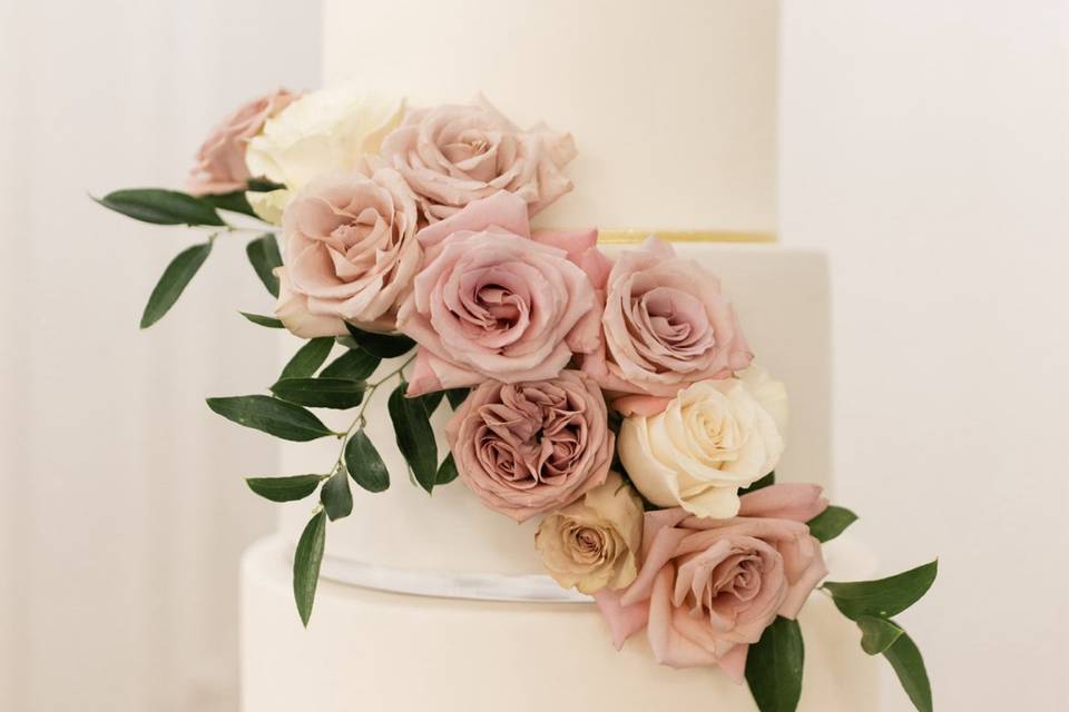 Dolce designs