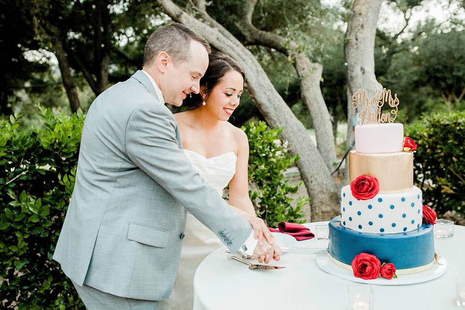 Cake cutting