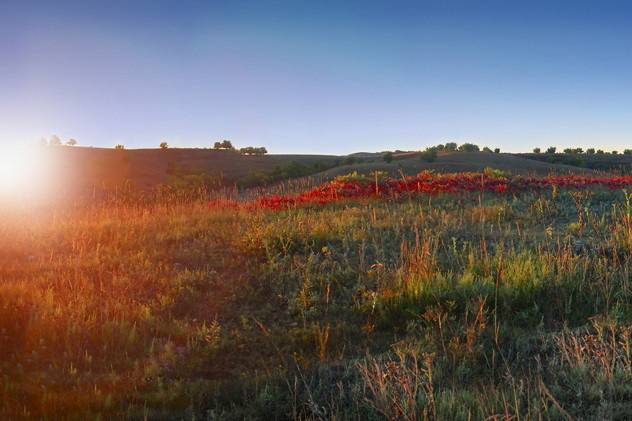 500 acres of untouched prairie make Prairiewood the most beautiful space.