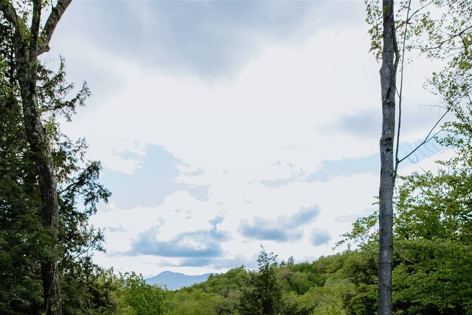 Northern NH Wedding Portraits