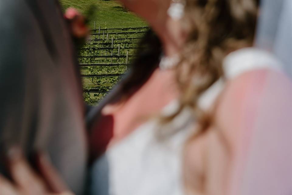 Vineyard Wedding Portraits NH