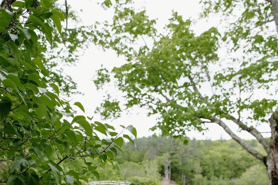 Ceremony space in northern NH