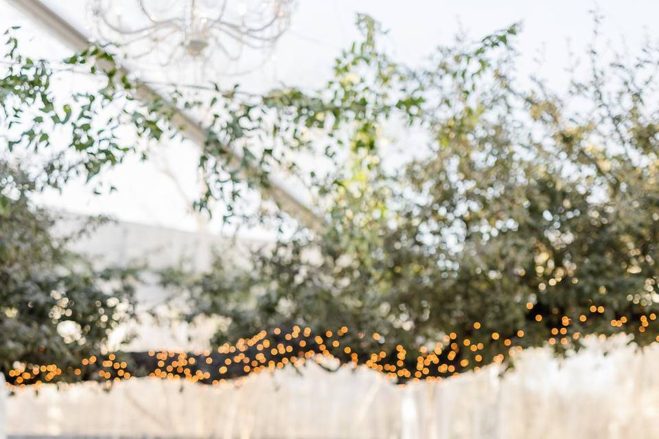 Bridal Bouquet