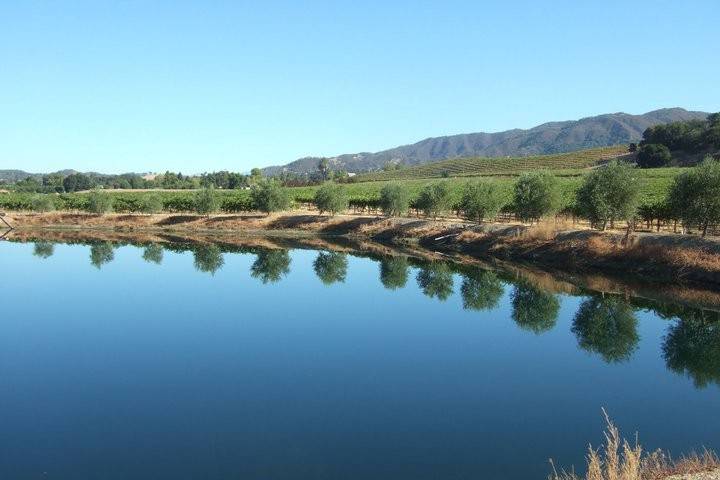 Seebass Vineyards and Family Wines