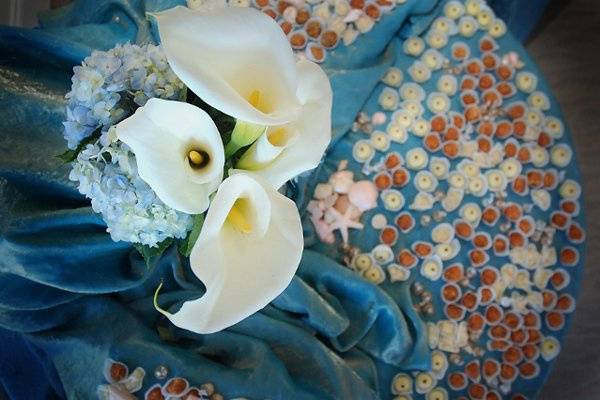 DigiLync Photography