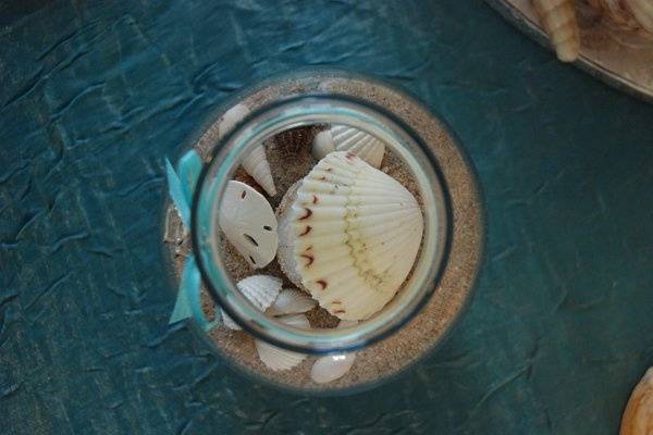 DigiLync Photography