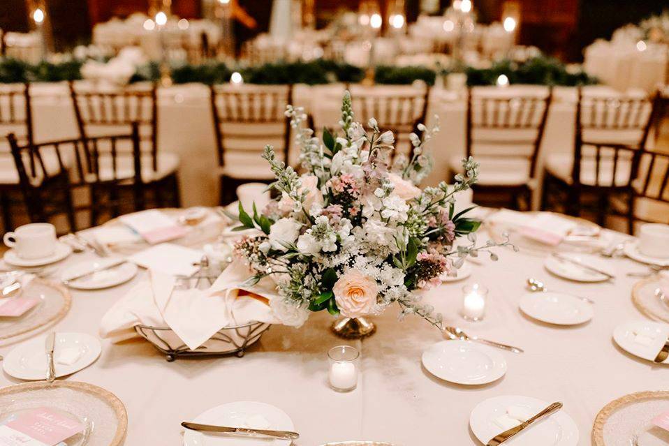 White Willow Events