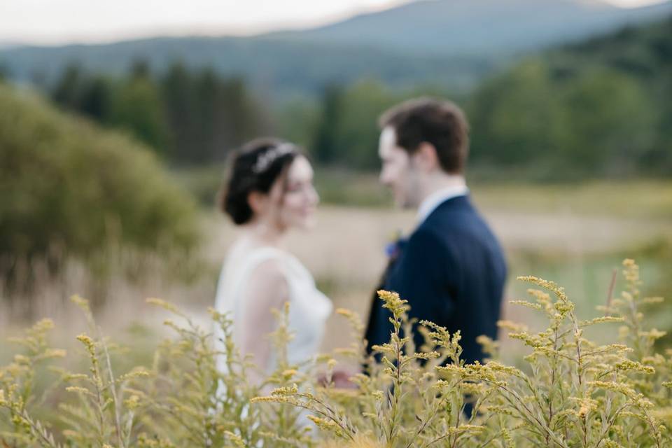 Wildflower meadows