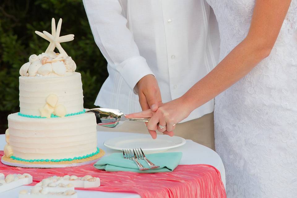 Cake cutting