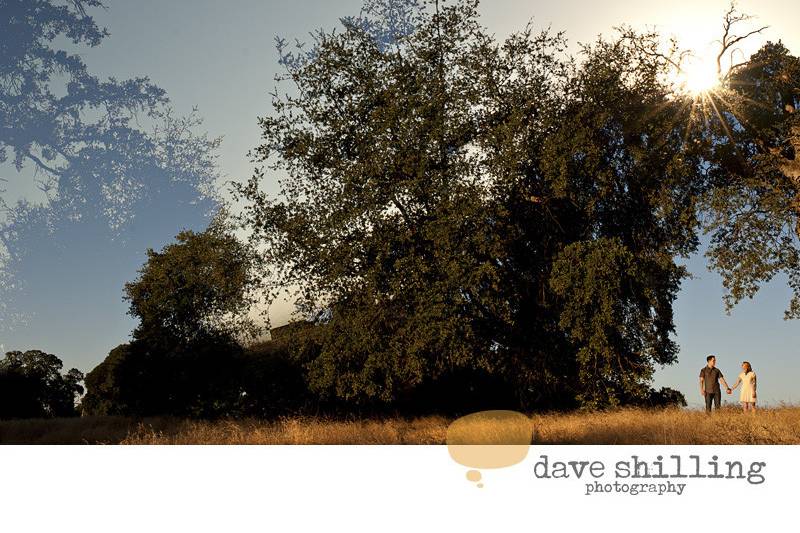 Dave Shilling Photography