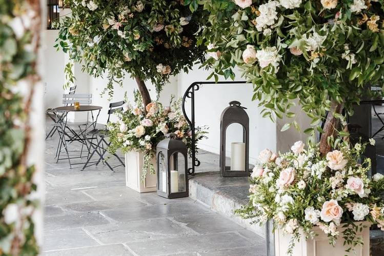 Garden trees at Il Mercato