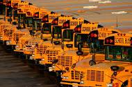 BookBuses