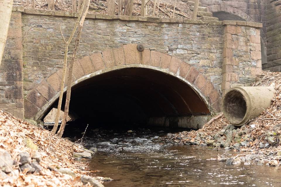 The bridge and creek