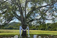 Ceremony
