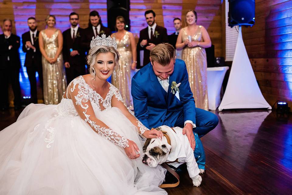 Bride, groom, and dog