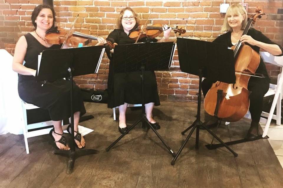 String trio perfornance