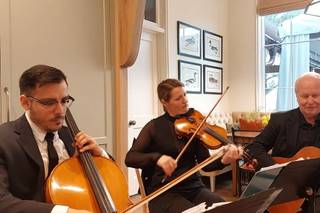 Lowcountry Strings