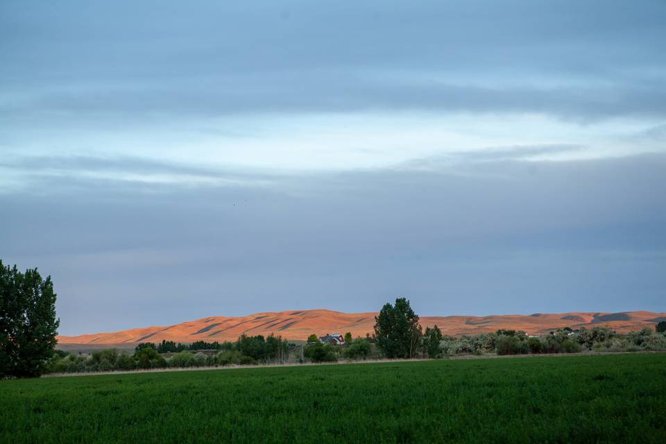 Lazy Bear Ranch