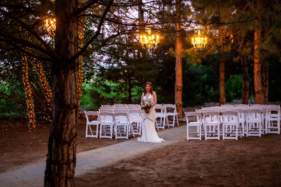 Rebeccas Tree Chapel w/lights