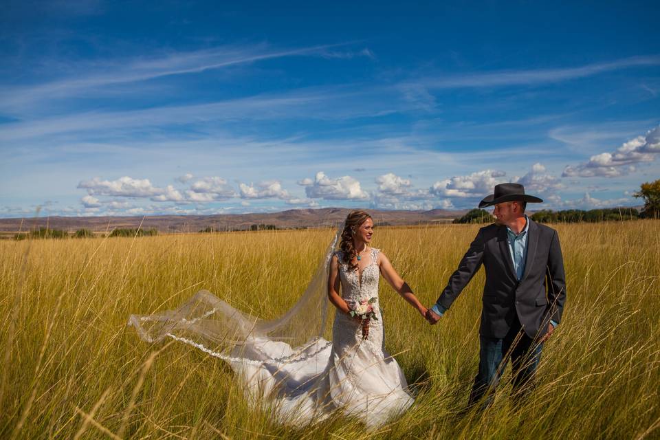 Fields of Gold at LBR