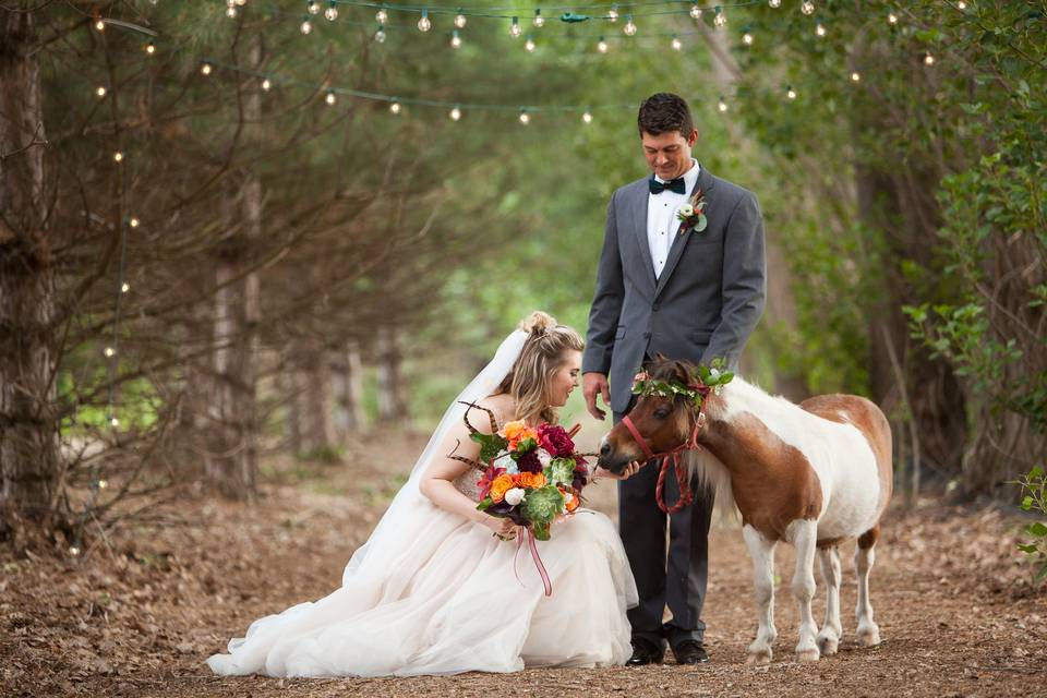 Bride and Groom Mini Horse