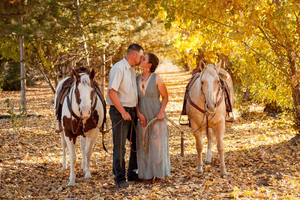 Engaged Kiss Horses