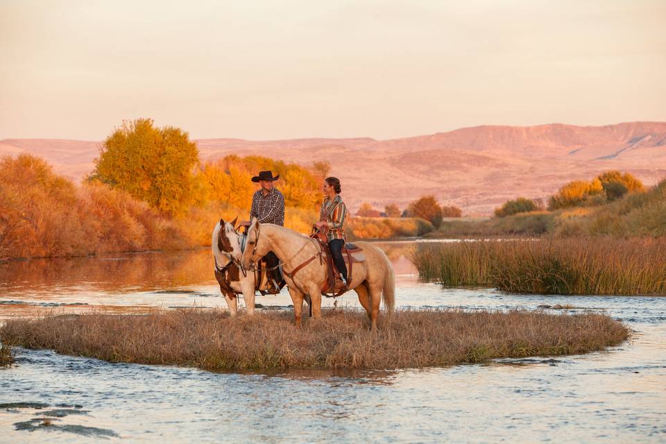 LBR Riverside Horses