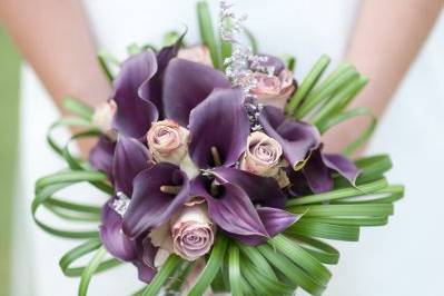 Old Dutch roses and Dark purple calla lilies