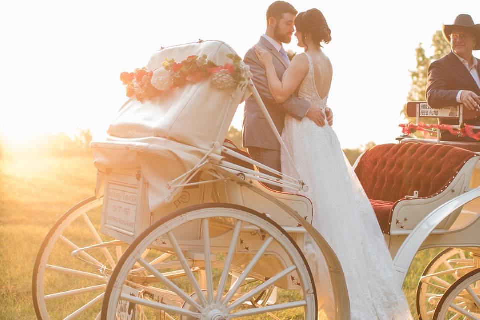 LPT Designs Weddings Gadsden
