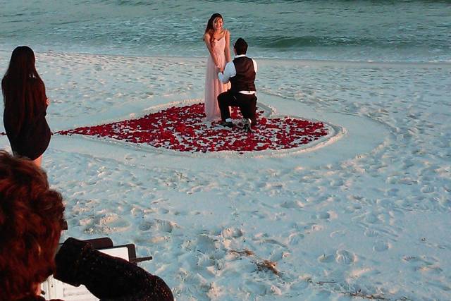 Surprise engagement!