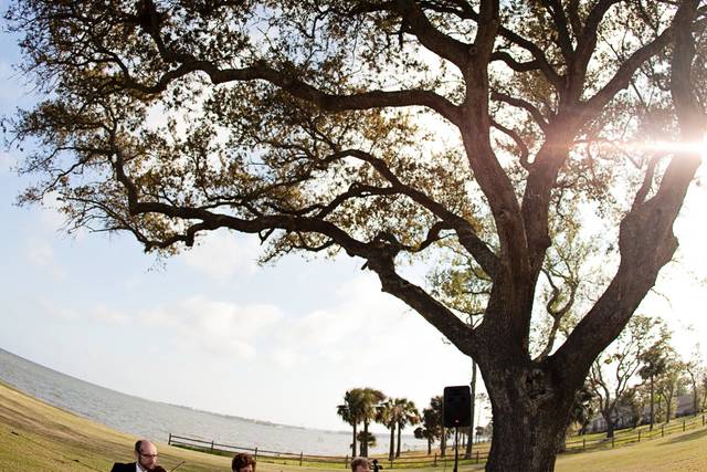 String trio Pensacola Country
