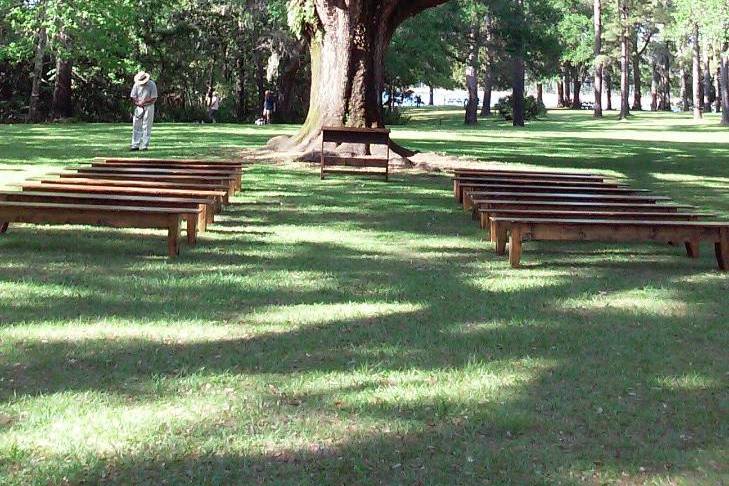 Eden Garden wedding tree