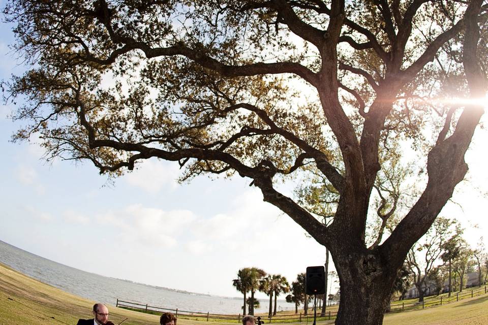 String trio Pensacola Country