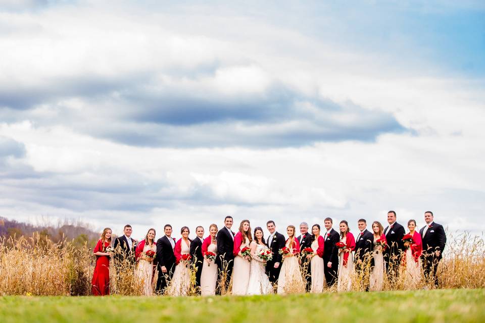 Couple with bridesmaids and groomsmen