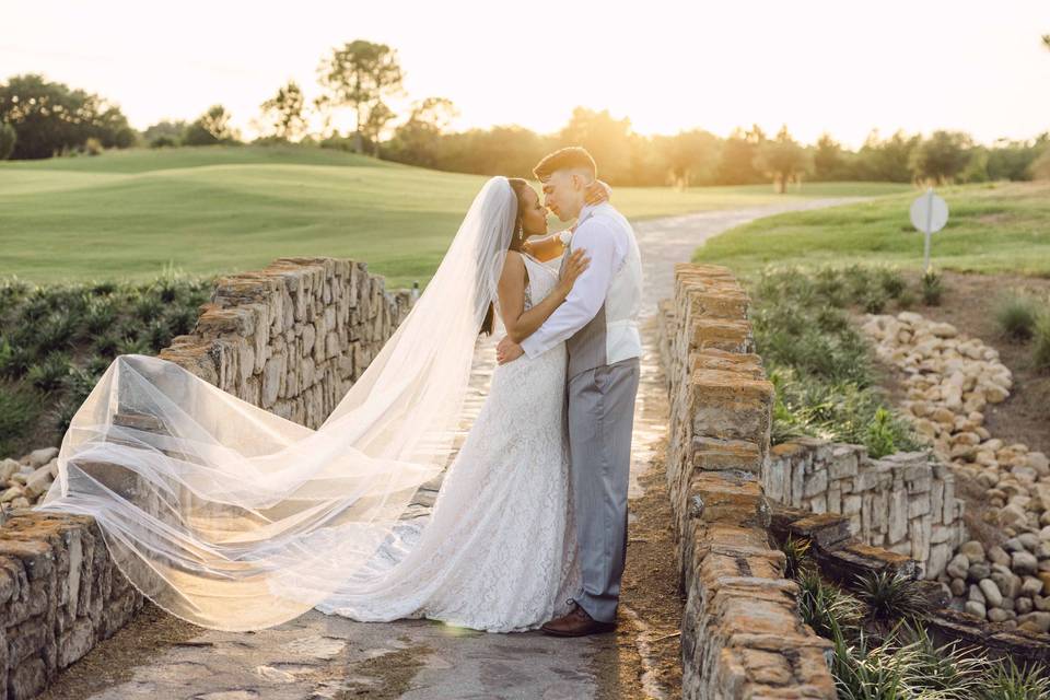 Gorgeous Veil Shot!
