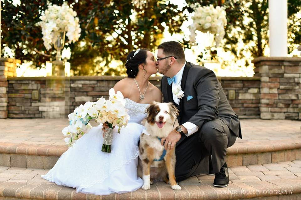 Dogs at Ceremony